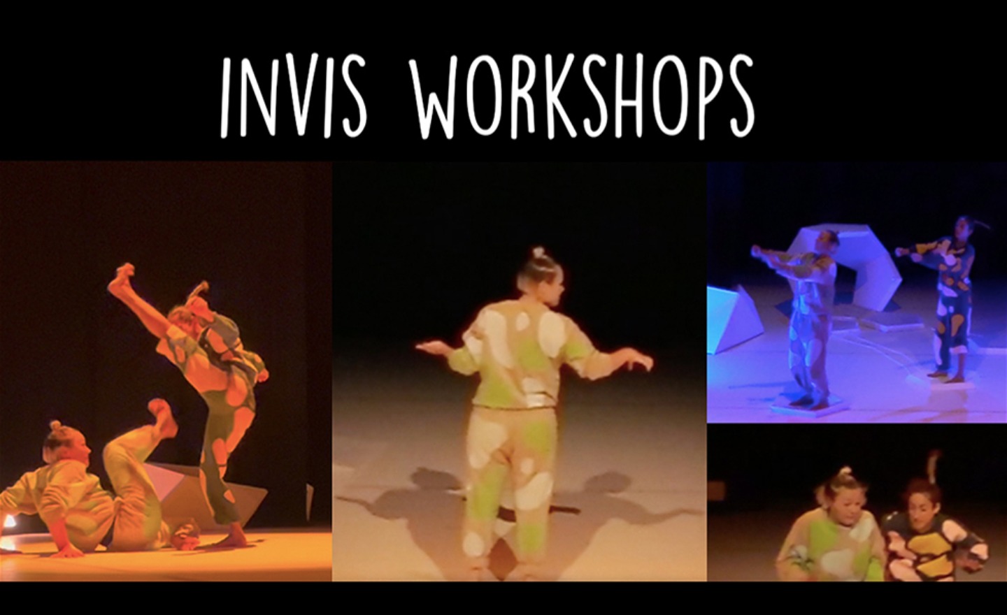 Workshops related to Invis performance