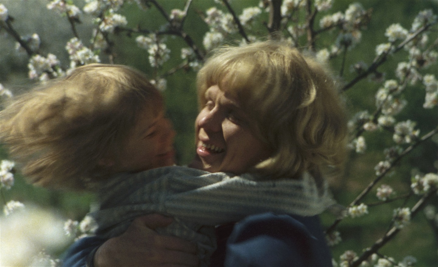 Storebror ler och håller sin leende lillebror i famnen. Bakom dem ett blommande körsbärsträd med vita blommor.