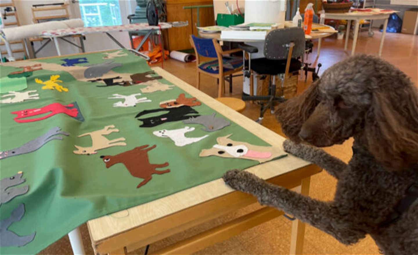 Pudeln Kokkos visar en färgglad tygbonad i ett klassrum