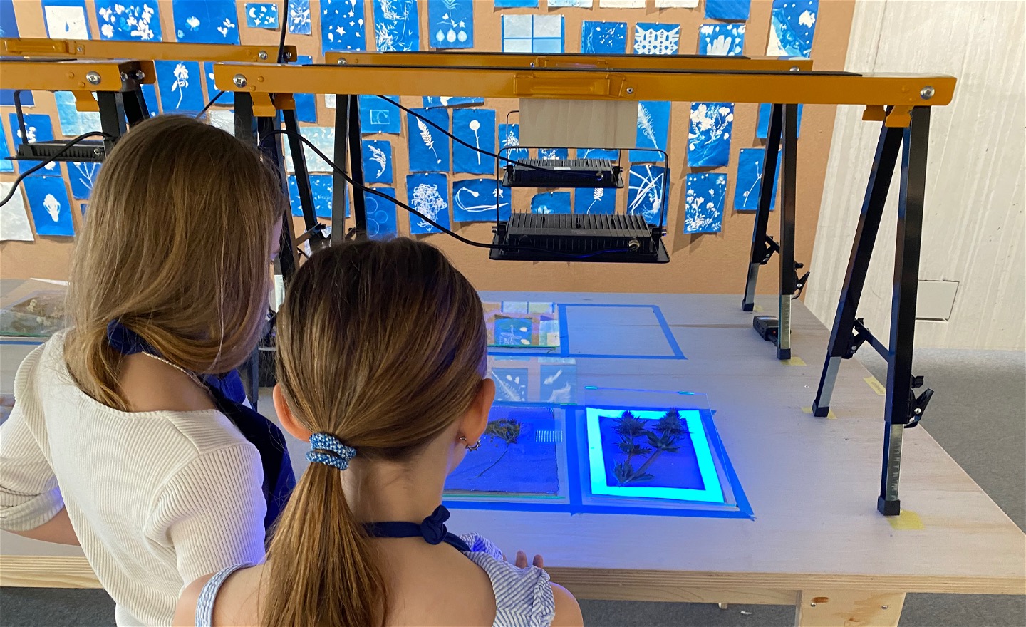 Exponering inomhus, Liljevalchs 