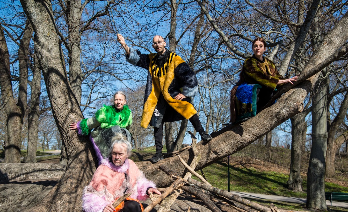 Fyra dansare uppflugna i ett träd