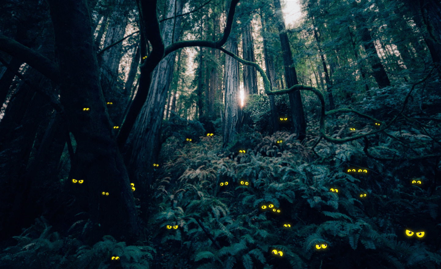 Mörk skog fylld av lysande ögon.